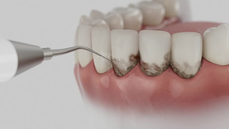 Reliable Dental contractor in Newton, TX by Dentist Open Now